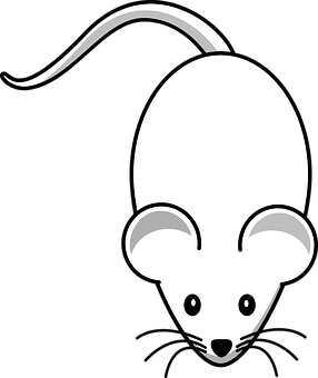 Affordable-Rodent-Control--in-Corpus-Christi-Texas-Affordable-Rodent-Control-5065431-image