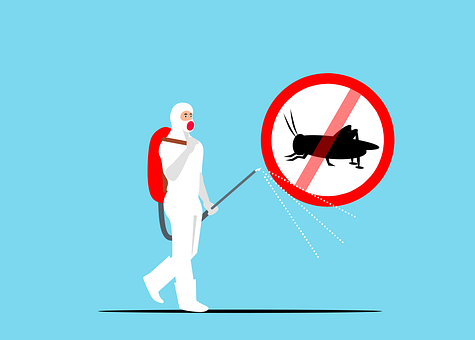 Exterminators--in-Los-Angeles-California-Exterminators-5072208-image