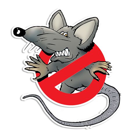Rodent-Control--in-Cincinnati-Ohio-Rodent-Control-5079738-image