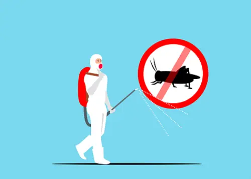 Exterminators--in-Dallas-Texas-exterminators-dallas-texas.jpg-image